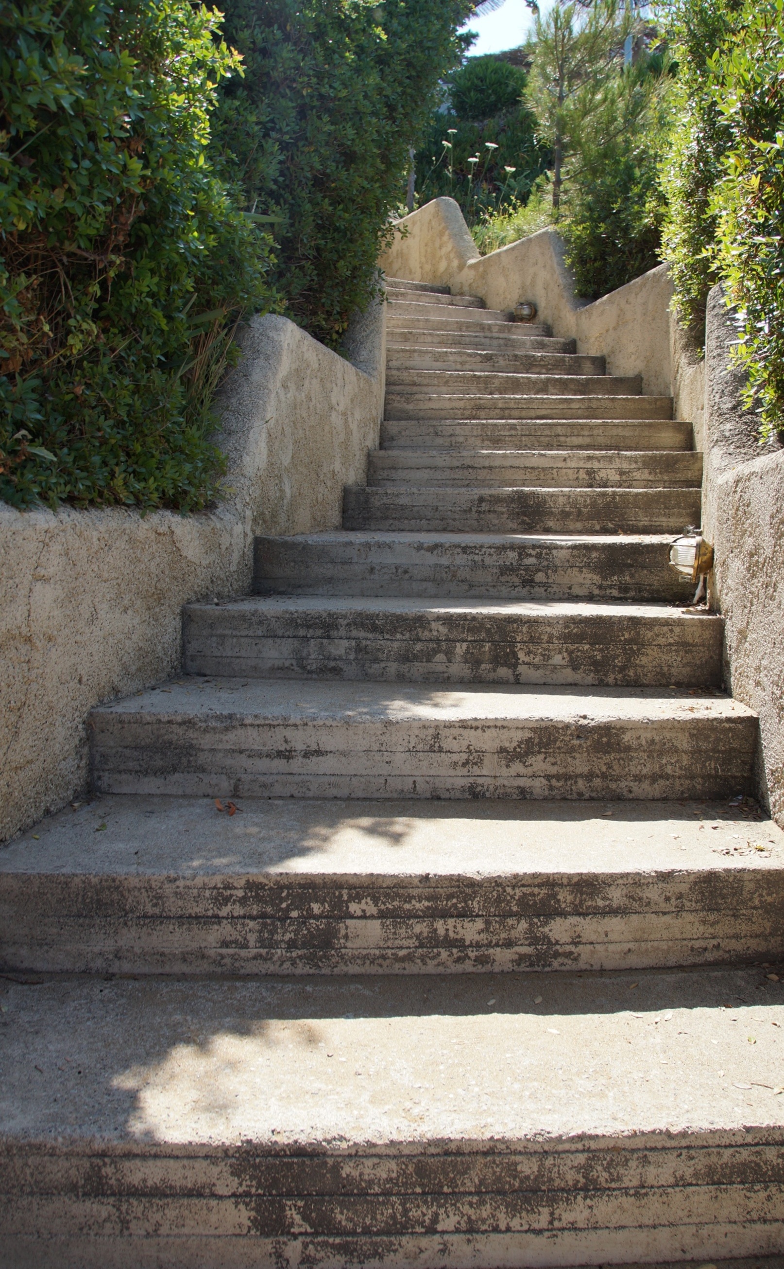 Escalier en colimaçon ou droit : lequel choisir ?